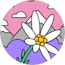 Angie profile picture